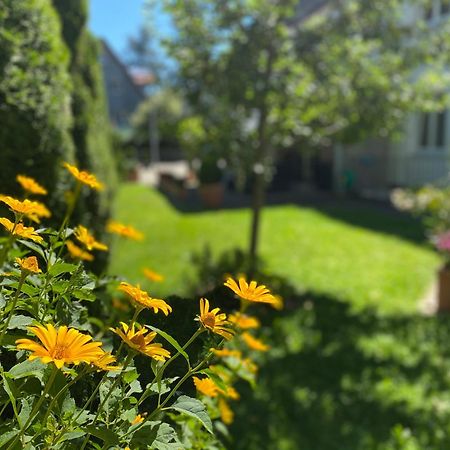 Hotel Villa Solln Мюнхен Экстерьер фото